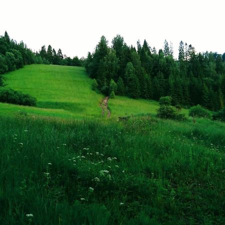 Domek W Gorach Pod Rysianka Zlatna Buitenkant foto