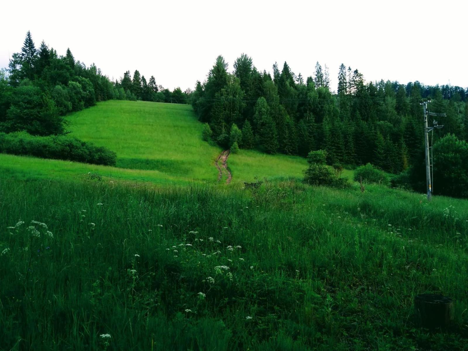 Domek W Gorach Pod Rysianka Zlatna Buitenkant foto