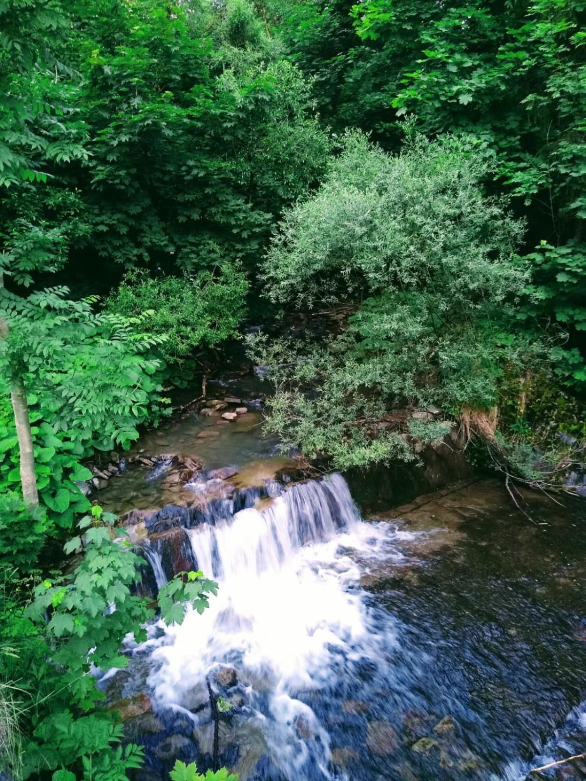 Domek W Gorach Pod Rysianka Zlatna Buitenkant foto