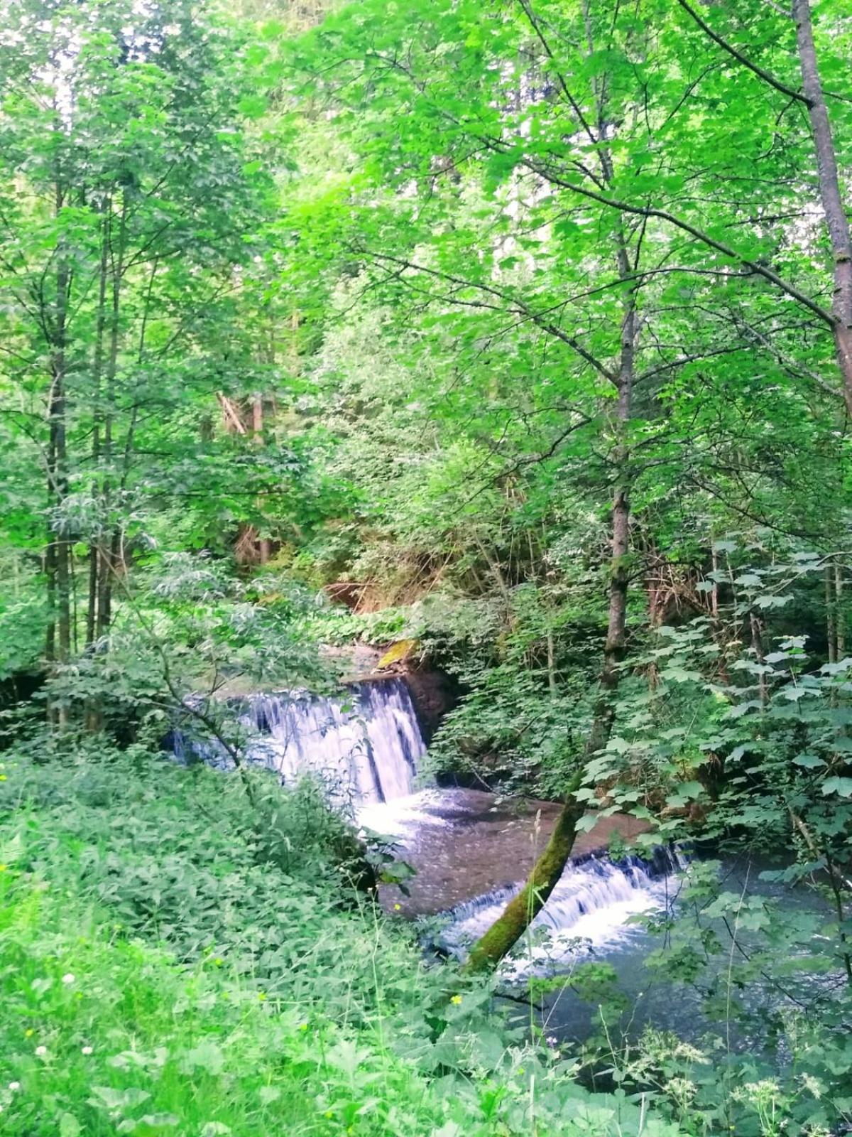 Domek W Gorach Pod Rysianka Zlatna Buitenkant foto